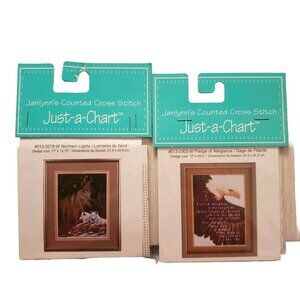 Just-a-Chart Pledge of Allegiance Northern Lights Jaylynns cross stitch 013-0303